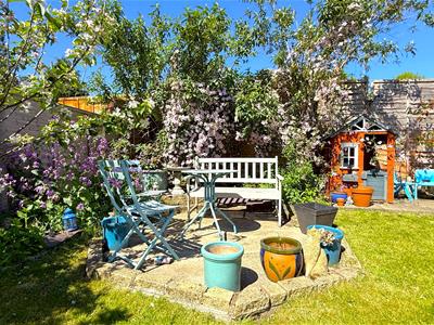 Picture 23